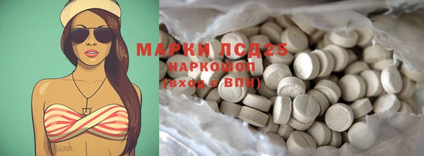 тгк Новодвинск